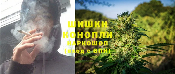 шишки Абинск