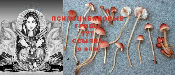 стафф Алексеевка