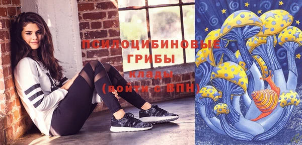 винт Алзамай
