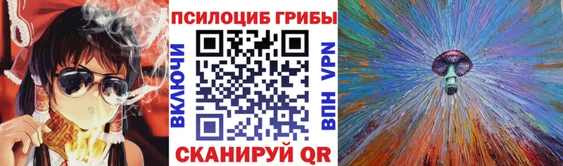 Псилоцибиновые грибы прущие грибы  Куровское 